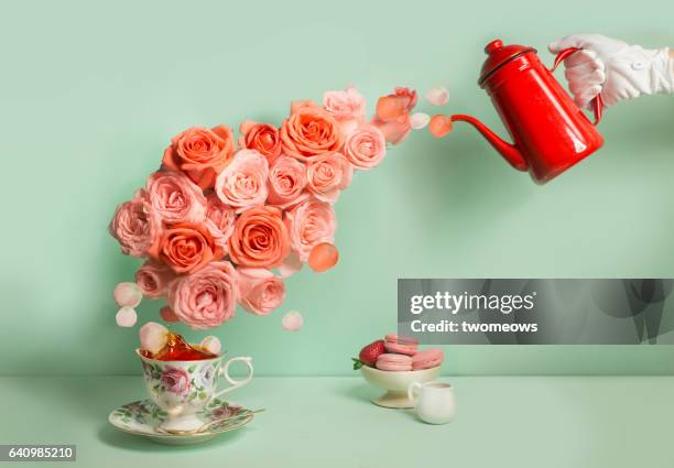 buttler pouring a stream of roses into tea cup. - composición fotografías e imágenes de stock
