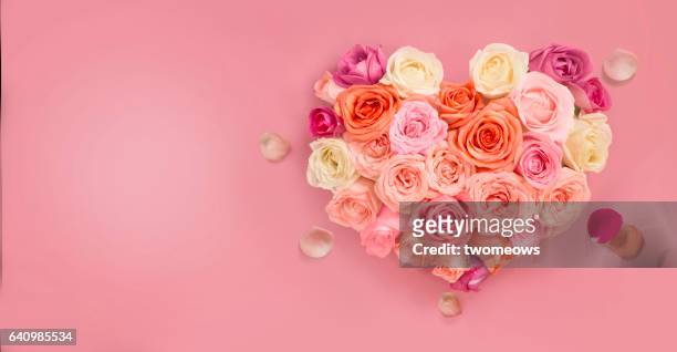 pastel colour heart shape bouquet. - rose colored 個照片及圖片檔