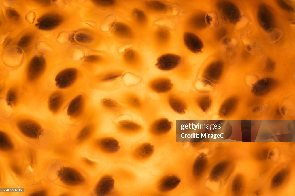 Passion Fruit Flesh Full Frame View