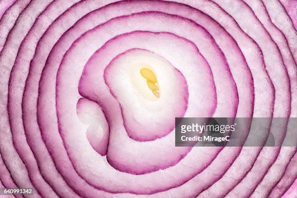 onion slices full frame close up shot - macrofotografia foto e immagini stock