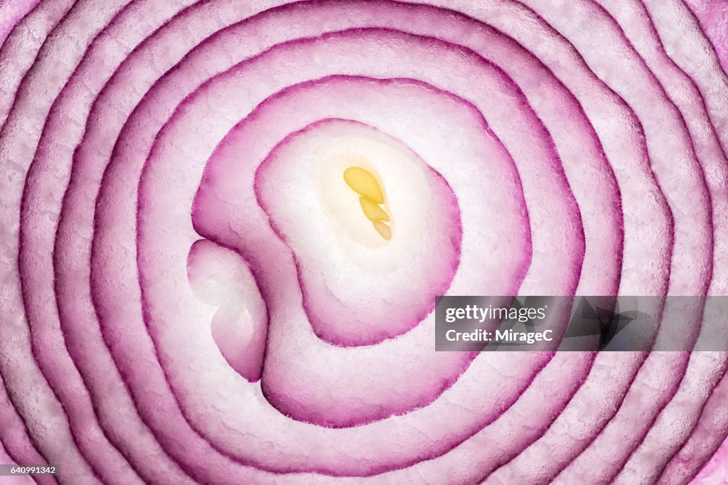 Onion Slices Full Frame Close Up Shot