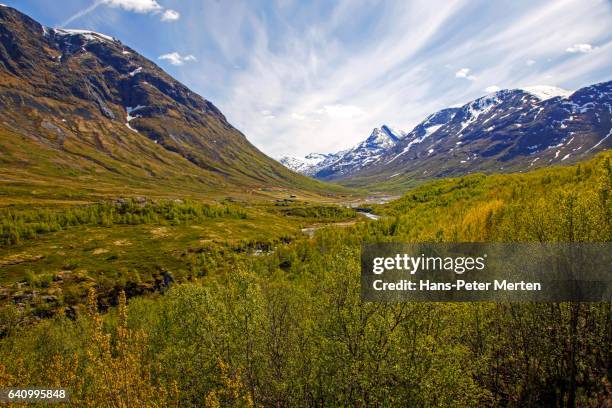 jotunheimen national park, oppland, norway - norway national day 2016 stock-fotos und bilder