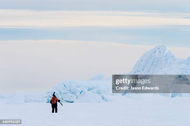 a photographer carries his tripod and camera across the sea ice to photograph pressure ridges. - antarctica people stock pictures, royalty-free photos & images