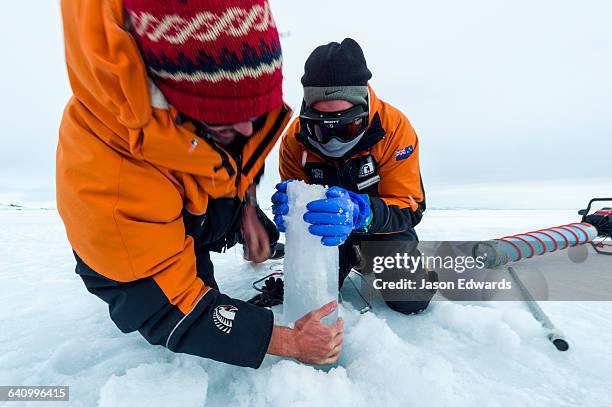 researchers drill core samples from the sea ice to collect extremophiles to study. - extremophil stock pictures, royalty-free photos & images