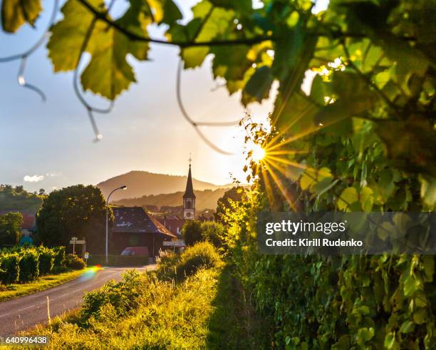 sunset in a small village, alsace, france - alsazia foto e immagini stock