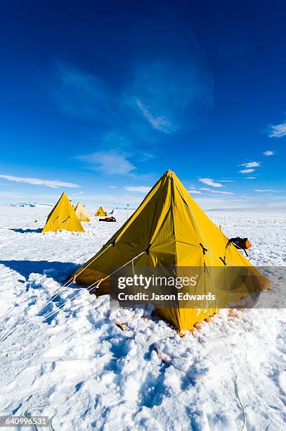 bright yellow tents lined-up on the ross ice shelf during a survival training course. - antarctica camp stock pictures, royalty-free photos & images
