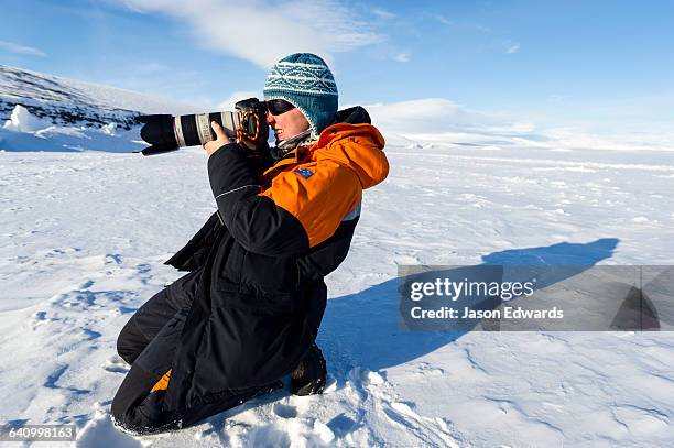 a marine mammal researcher photographing a weddell seal on the sea ice. - woman looking through ice stock pictures, royalty-free photos & images