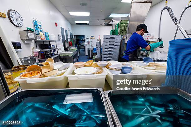 a dishwasher cleans utensils in an antarctic base kitchen after thanksgiving. - polar caps stock pictures, royalty-free photos & images