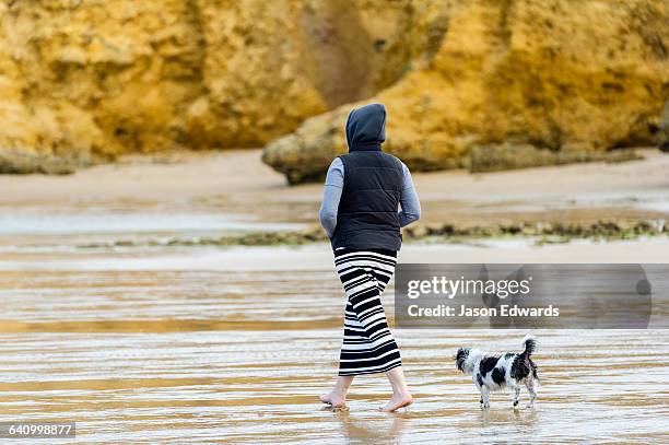 a woman walking a terrier dog along a beach at low tide in winter. - torquay stock pictures, royalty-free photos & images