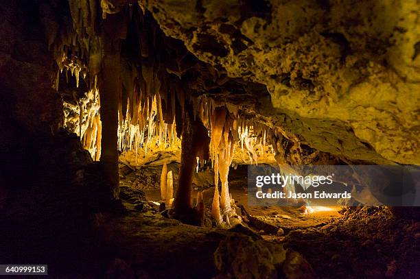 spectacular stalactites and stalagmites formed by water and mineral deposits decorate the caves. - kalksteen stockfoto's en -beelden