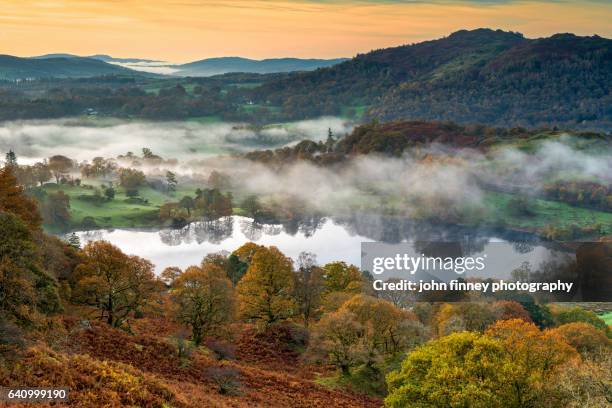 english lake district in autumn on a misty morning. lake district national park. uk. - windermere stock pictures, royalty-free photos & images