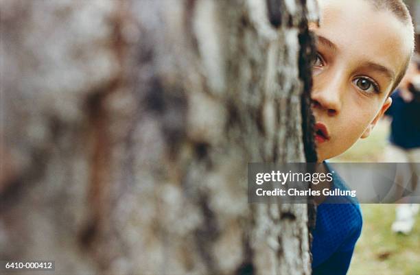 boy hiding behind tree - hidw and seek stock pictures, royalty-free photos & images