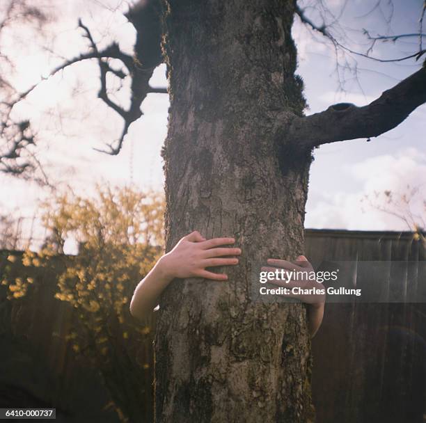 Woman Hand Tree Tree Trunk Hand Photos and Premium High Res Pictures - Getty Images