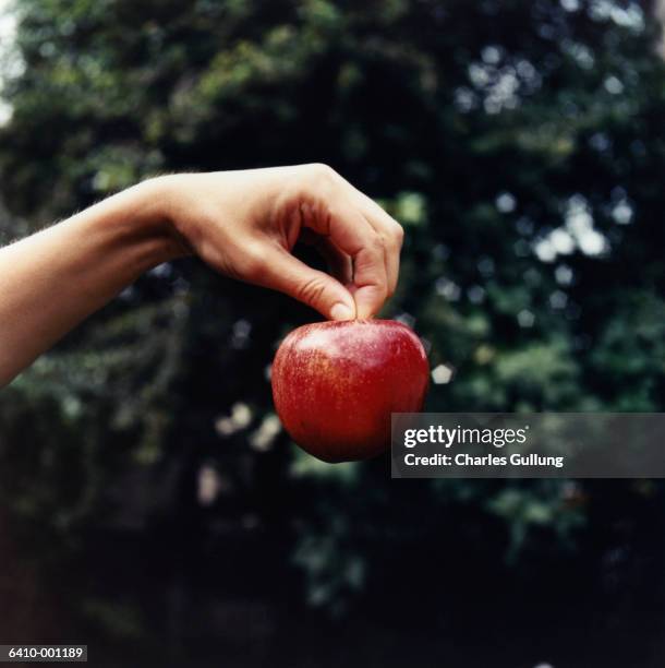 hand holding apple - temptation stock pictures, royalty-free photos & images