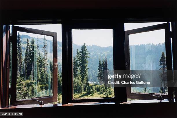 window, trees and mountain - finestra foto e immagini stock