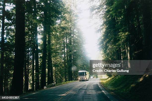 bus on road with pine trees - bus road stock-fotos und bilder