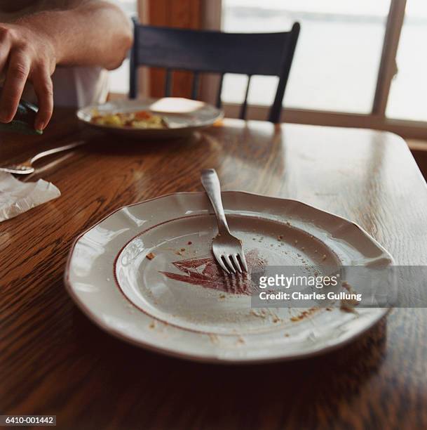 empty plate - plato vacio fotografías e imágenes de stock
