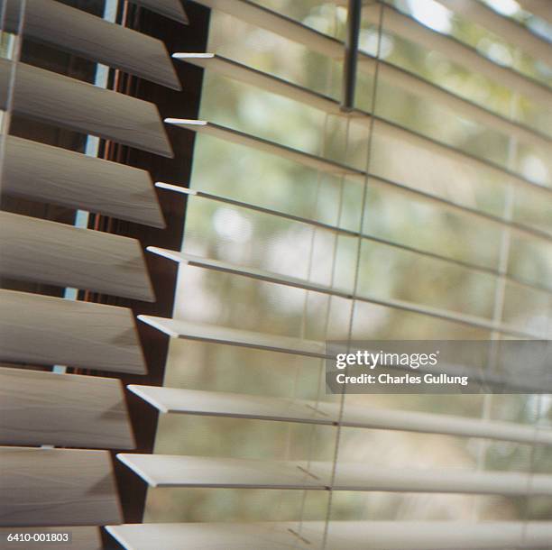 venetian window blinds - tapparelle foto e immagini stock