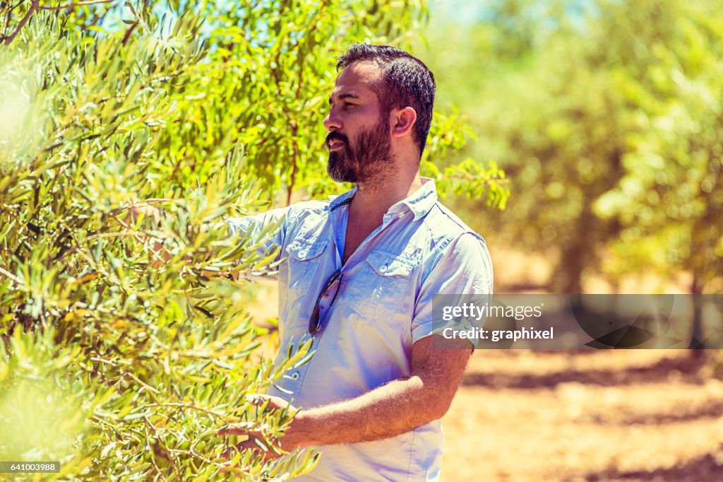Jonge boer in Olive Yard
