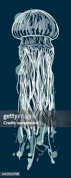 jellyfish on blue - jellyfish stock illustrations