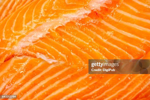 salmon trout meat texture - cultura norueguesa imagens e fotografias de stock