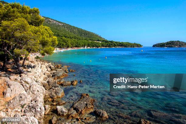 beach of cala pi de la posada at the cap de formentor, majorca, balearic islands, spain - cabo formentor fotografías e imágenes de stock