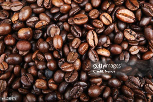 coffee beans background - bean stock-fotos und bilder