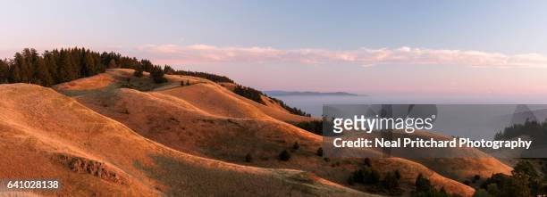 marin headlands - marin headlands stock pictures, royalty-free photos & images