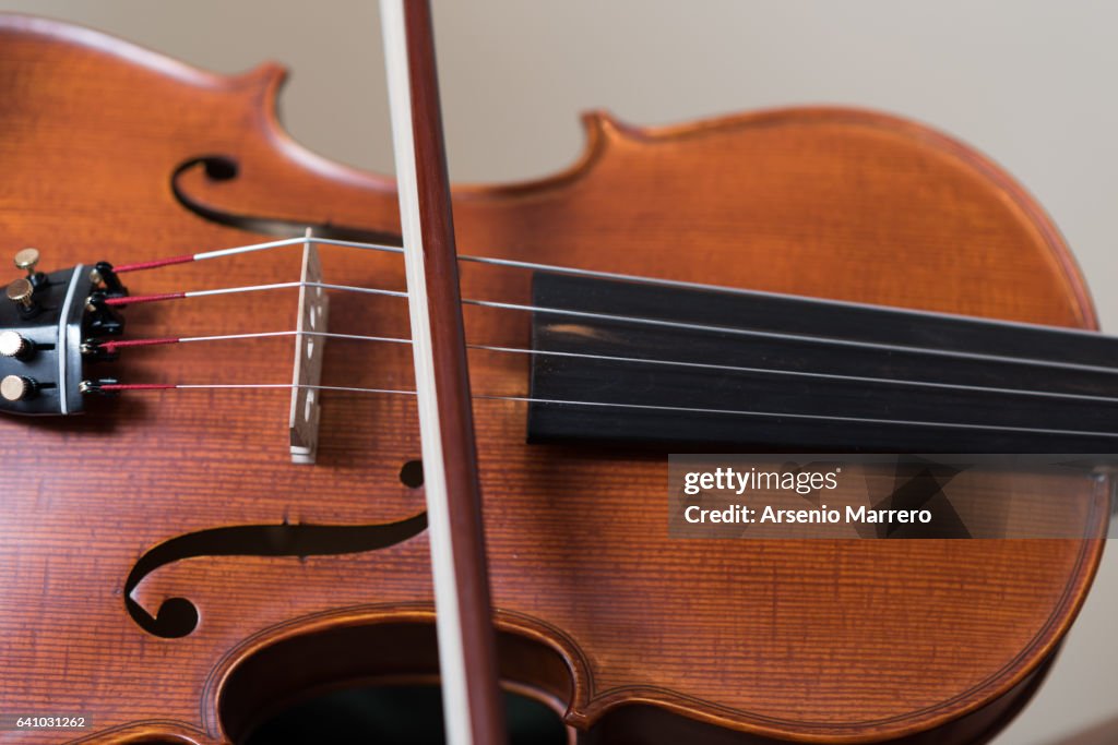 Copyable Viola Instrument Viola Musical Instrument Images at Eden Disney blog