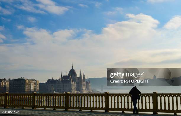 parliament building of budapest - budapest people stock pictures, royalty-free photos & images