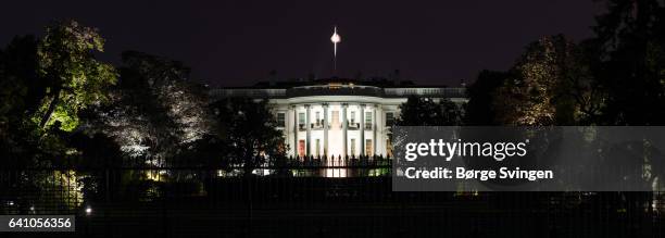 white house - white house night stock pictures, royalty-free photos & images