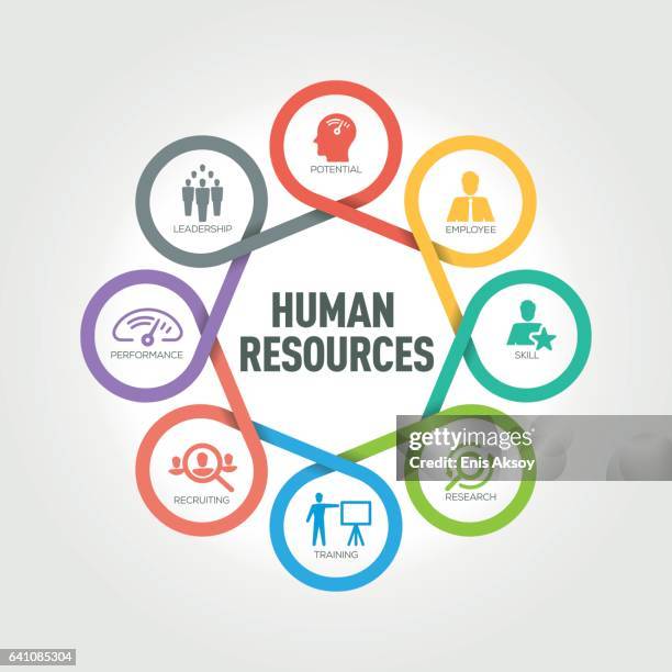 human resources infographic with 8 steps, parts, options - talent management infographic stock illustrations