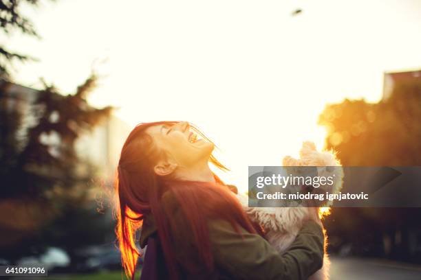 pets making world a better place - dog with human teeth stock pictures, royalty-free photos & images