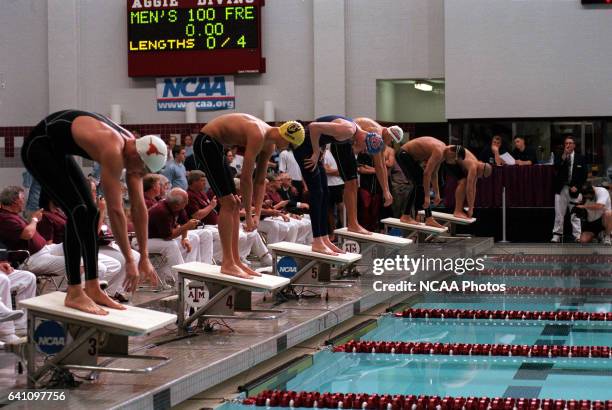 Start of the men's 100 yard freestlye race Jamie Rauch of Texas, the winner Anthony Ervin of California, Gregory Busse of Auburn, Roland Schoman of...