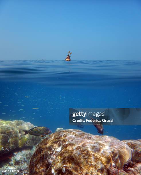 two tourists canoeing on maldivian atoll - aquatic sport stock pictures, royalty-free photos & images