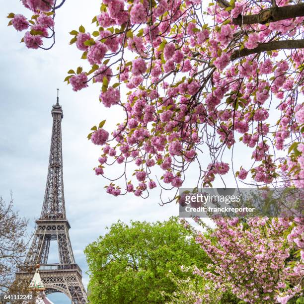 tour eiffel in paris - paris springtime stock pictures, royalty-free photos & images