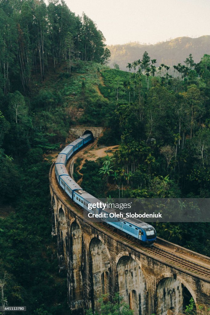 Nine Arch Bridge in Sri Lanka