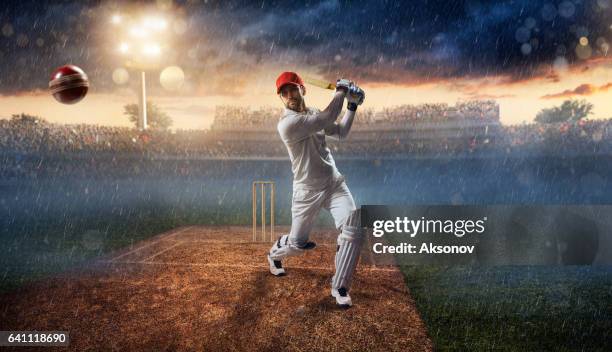 cricket: batsman op het stadion in actie - cricketbat stockfoto's en -beelden