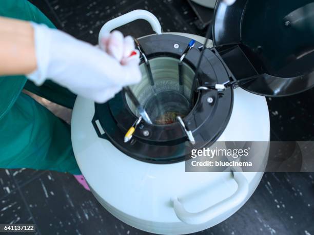 stichprobe von sperma eingefroren tank - flüssiger stickstoff stock-fotos und bilder