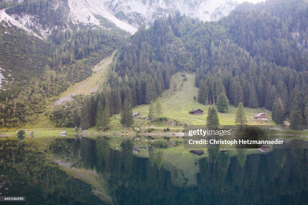 Landscape reflections