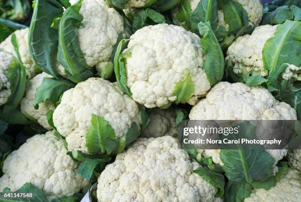 fresh cauliflower - califlower stock-fotos und bilder