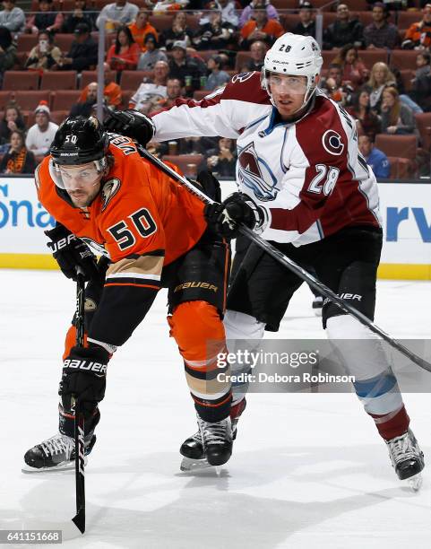 Antoine Vermette of the Anaheim Ducks battles for position against Patrick Wiercioch of the Colorado Avalanche during the game on January 31, 2017 at...