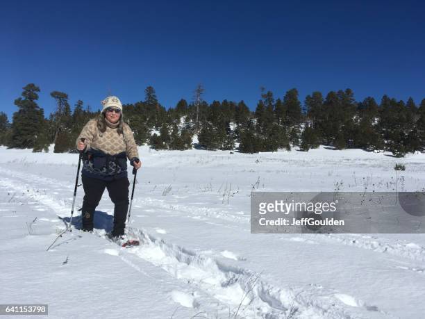 woman snowshoeing - flagstaff arizona stock pictures, royalty-free photos & images