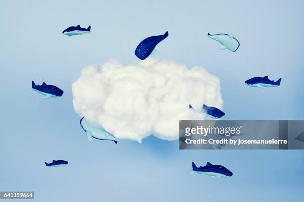 whales around the cloud - josemanuelerre fotografías e imágenes de stock