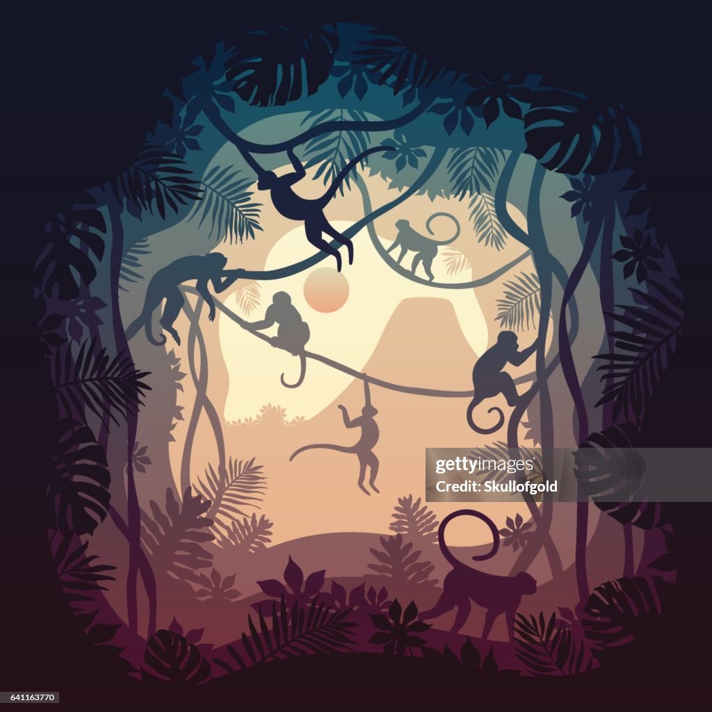 Capuchin Land