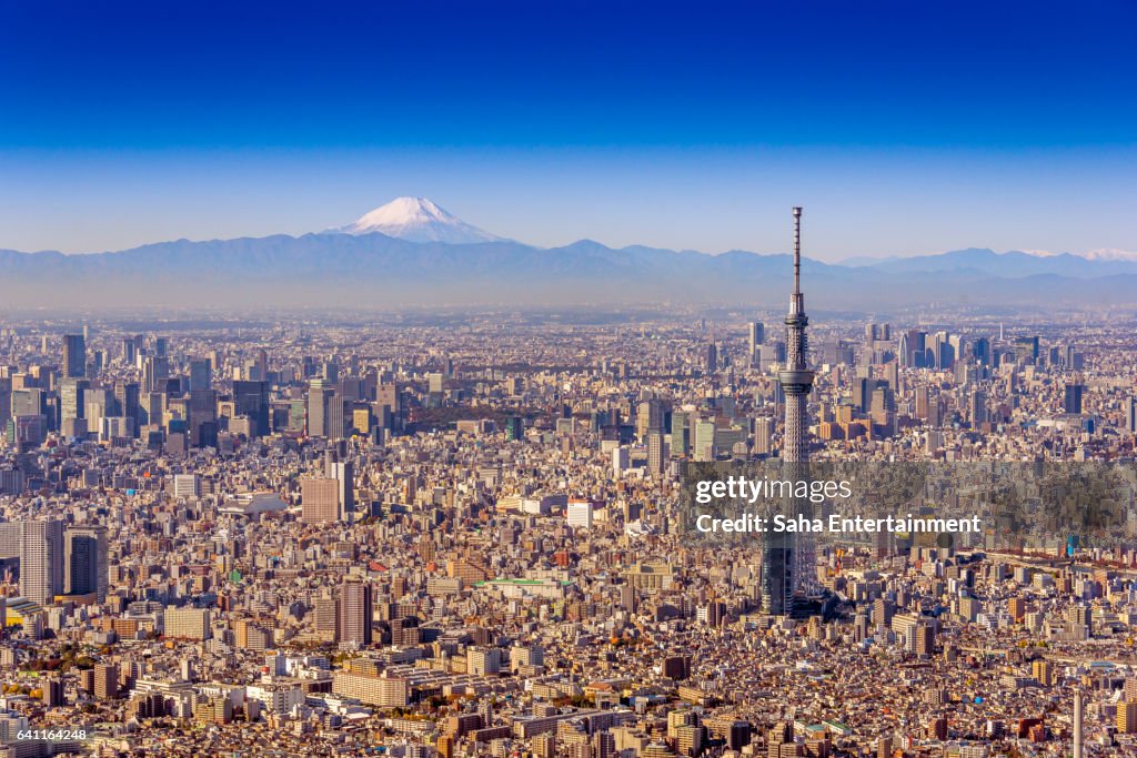Tokyo Sky Tree and Mt.Fuji Aero photography