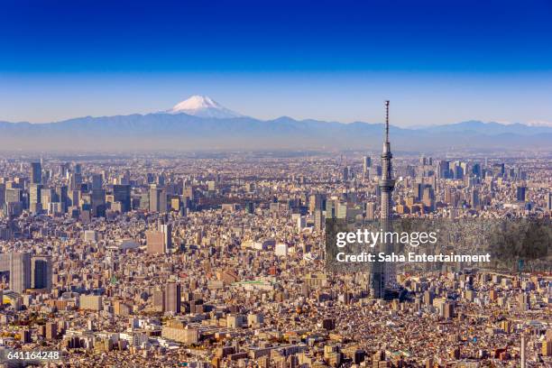 262点のスカイツリー 富士山のストックフォト Getty Images 262点のスカイツリー 富士山のストックフォト Getty Images