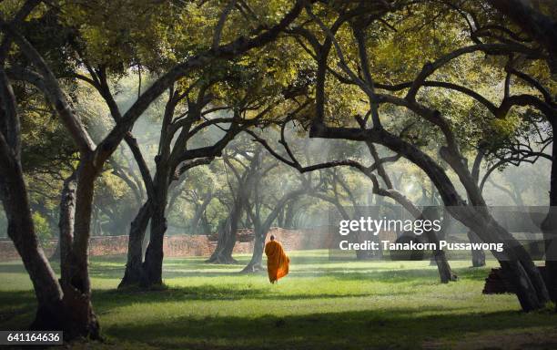 buddhist monk - buddhism fotografías e imágenes de stock