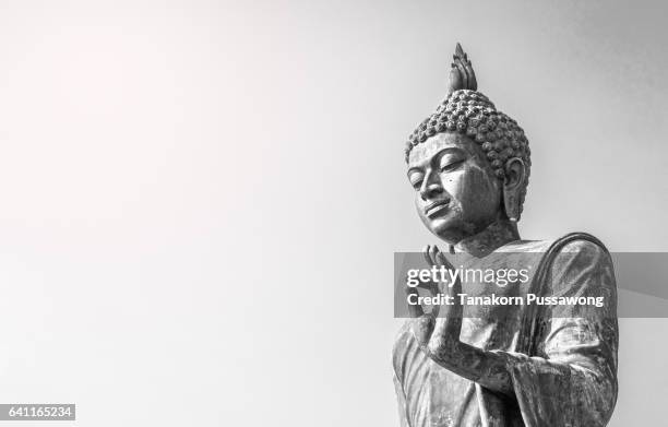 big buddha statue - großer buddha stock-fotos und bilder