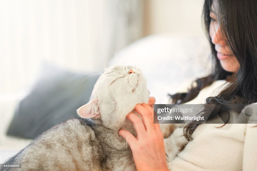 Young woman scratching cat on sofa
